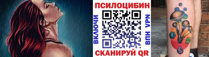 Галлюциногенные грибы прущие грибы  Заозёрный 